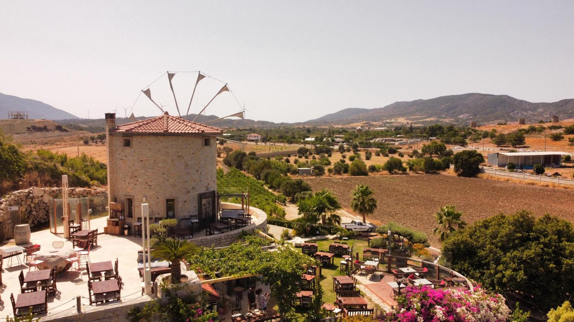 Datca Vineyard Guesthouse Ngoại thất bức ảnh