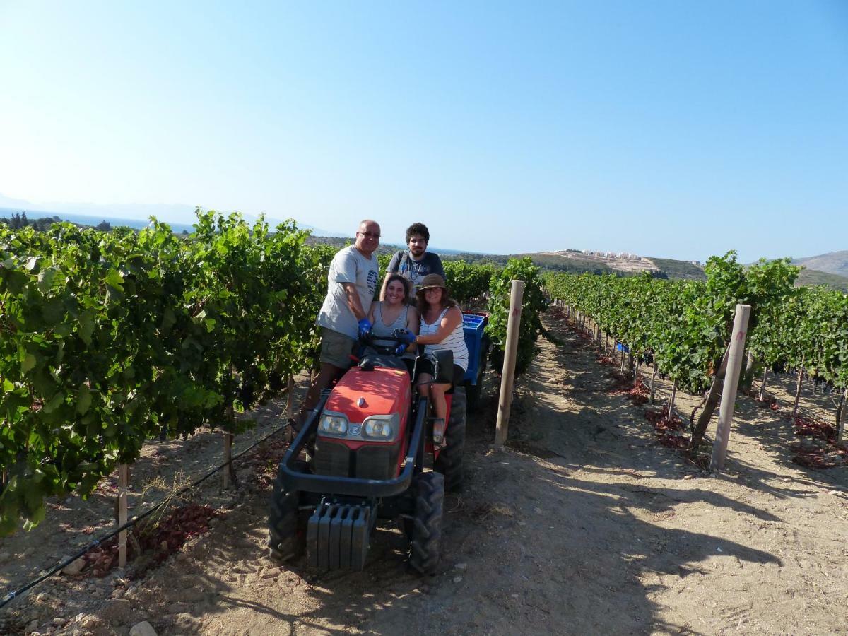 Datca Vineyard Guesthouse Ngoại thất bức ảnh