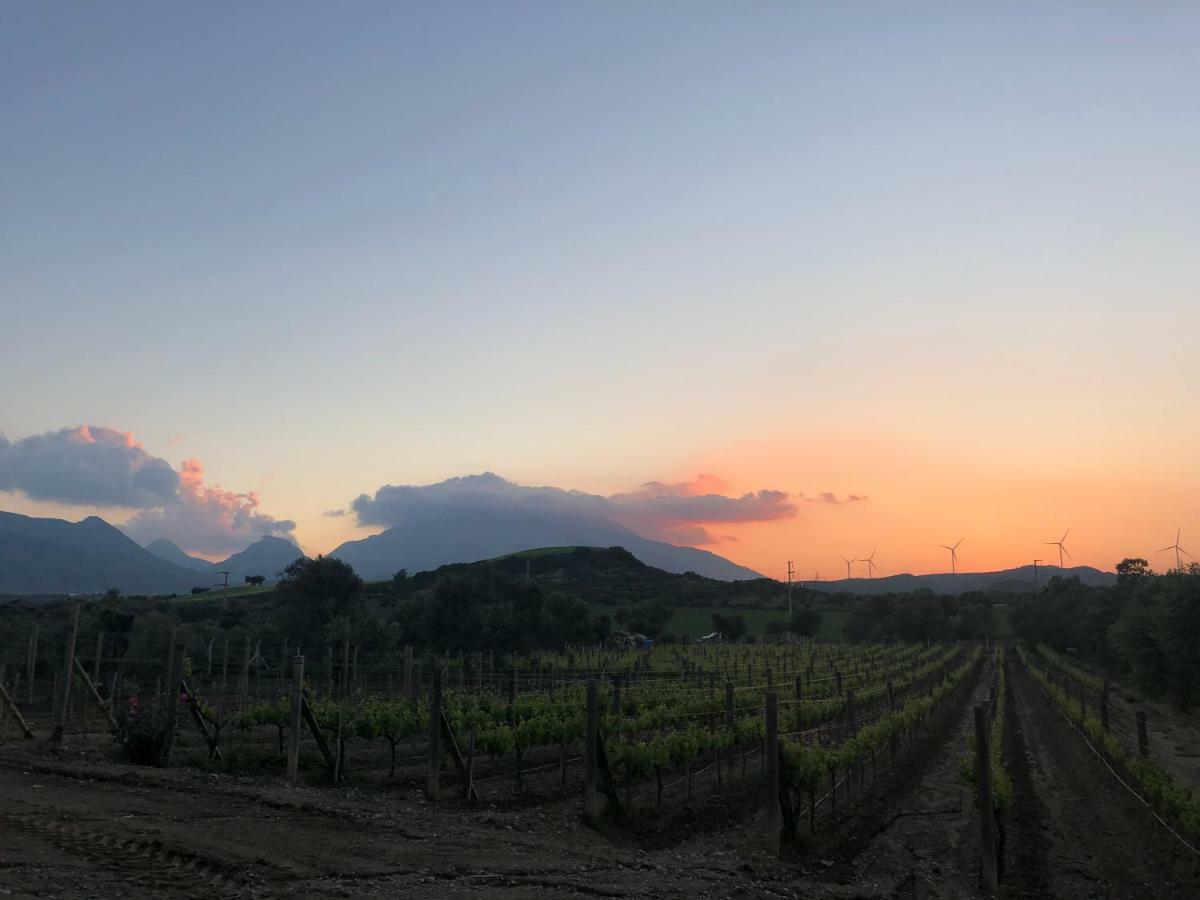 Datca Vineyard Guesthouse Ngoại thất bức ảnh