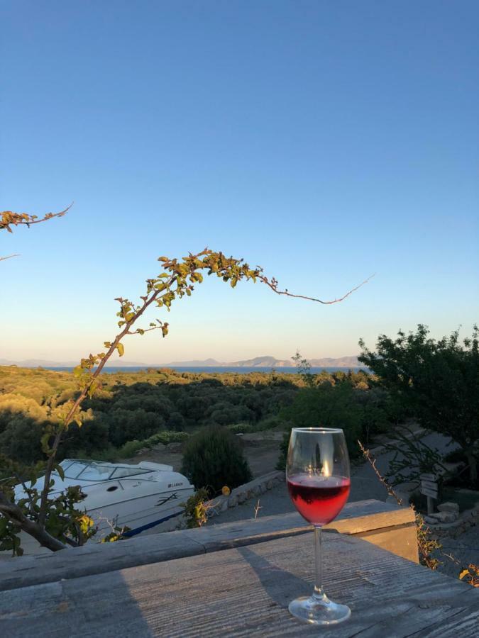 Datca Vineyard Guesthouse Ngoại thất bức ảnh